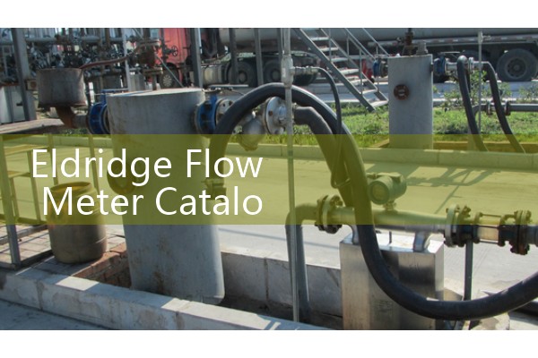 Eldridge Flow Meter Catalog: Premium Thermal Mass Gas Flow Transmitters